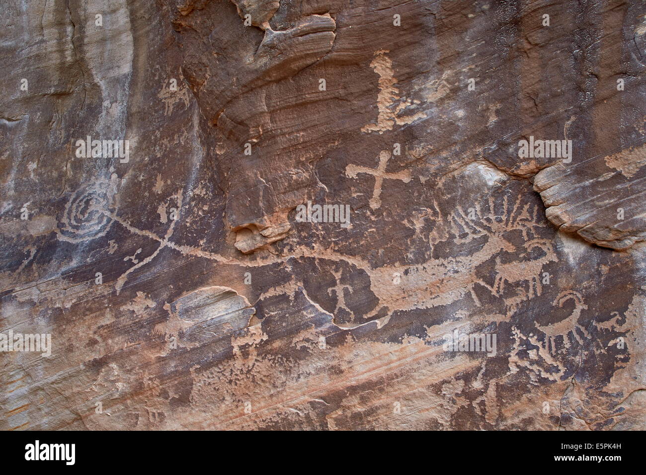 Parte del Circus Kohta pannello petroglyph mostrante un elk o di cervo, Gold Butte, Nevada, Stati Uniti d'America, America del Nord Foto Stock
