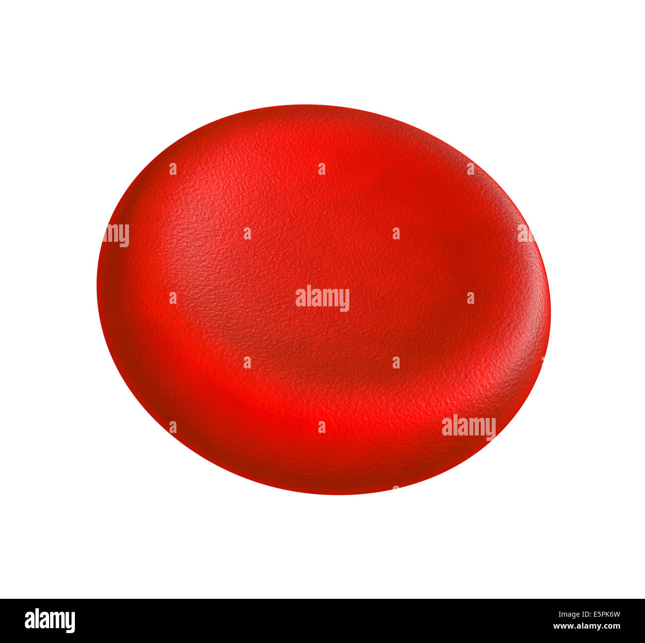 Illustrazione di cellule di sangue umano - isolato su bianco Foto Stock