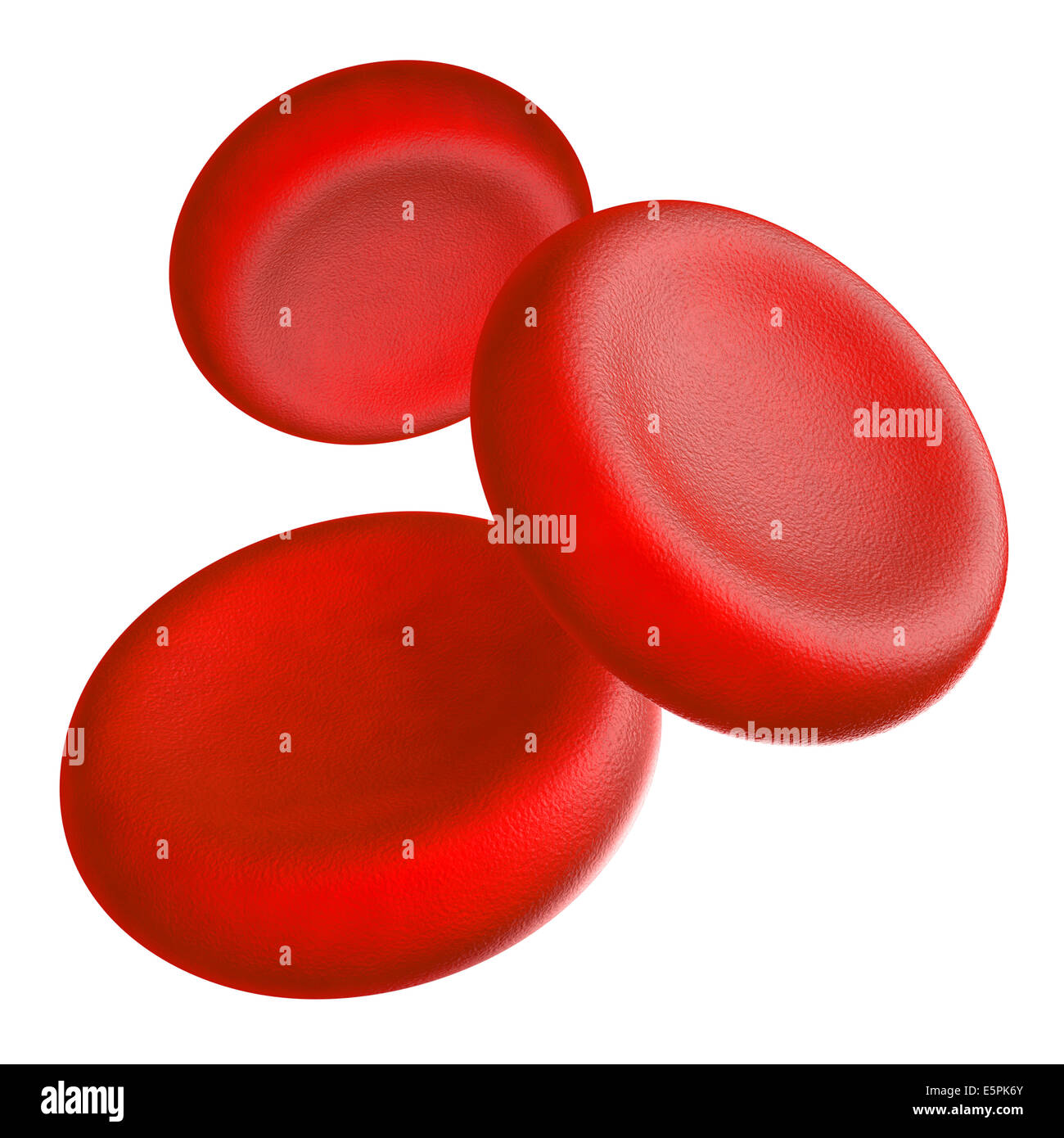 Illustrazione di cellule del sangue umano - isolato su bianco Foto Stock
