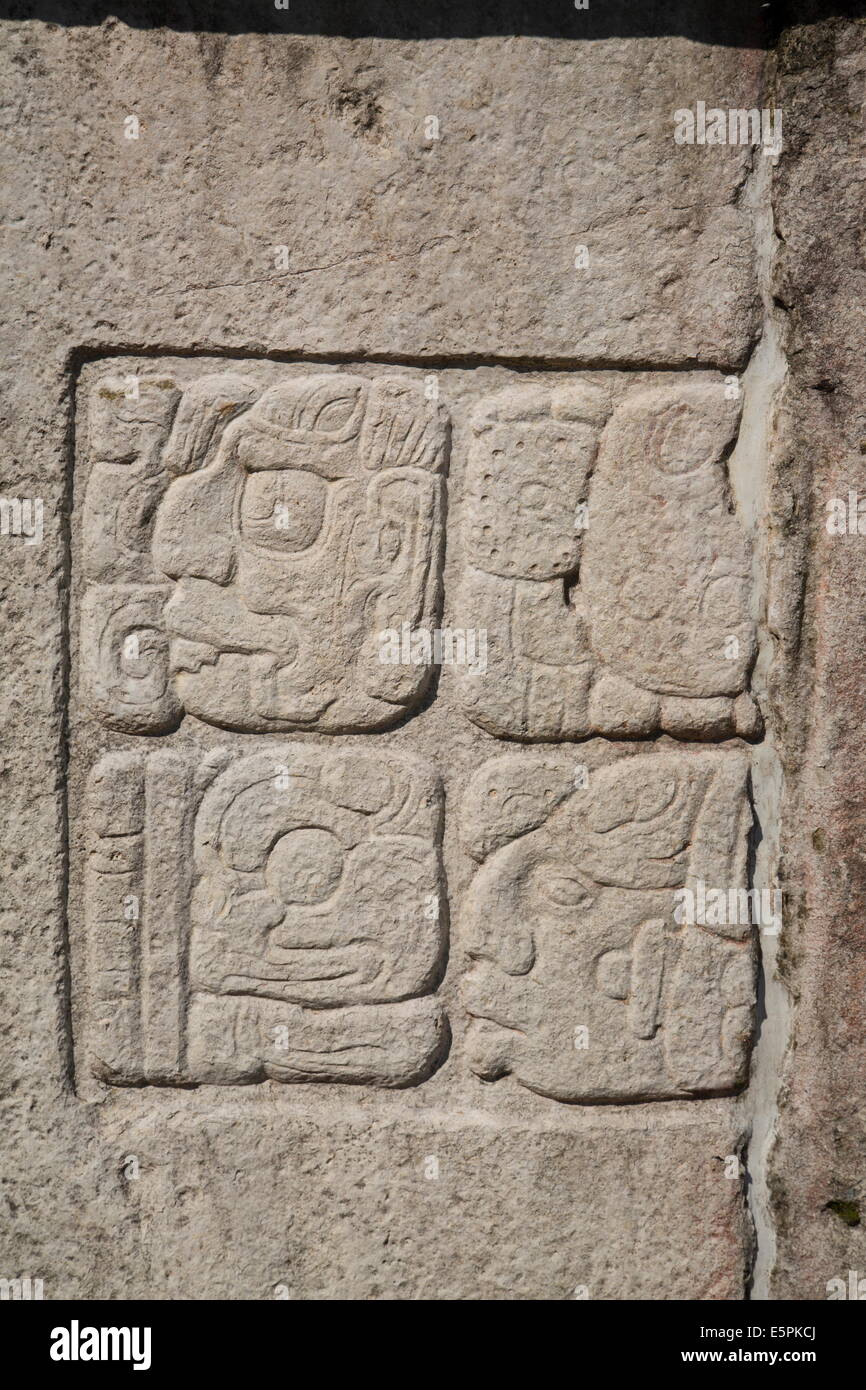 Glyphic testi, Patio dei prigionieri, il palazzo, Palenque parco archeologico, sito UNESCO, Palenque, Chiapas, Messico Foto Stock