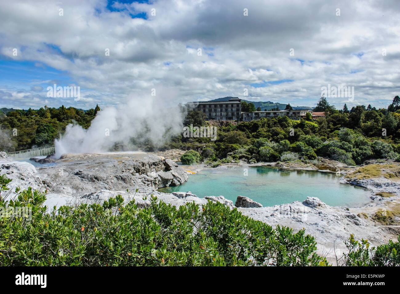 Geysirfield in Te Puia Maori centro culturale, Rotorura, Isola del nord, Nuova Zelanda, Pacific Foto Stock