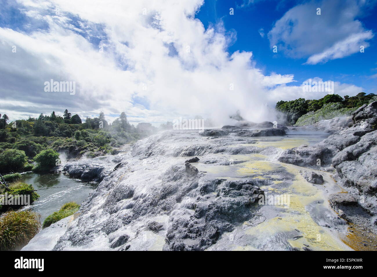 Geysirfield in Te Puia Maori centro culturale, Rotorura, Isola del nord, Nuova Zelanda, Pacific Foto Stock