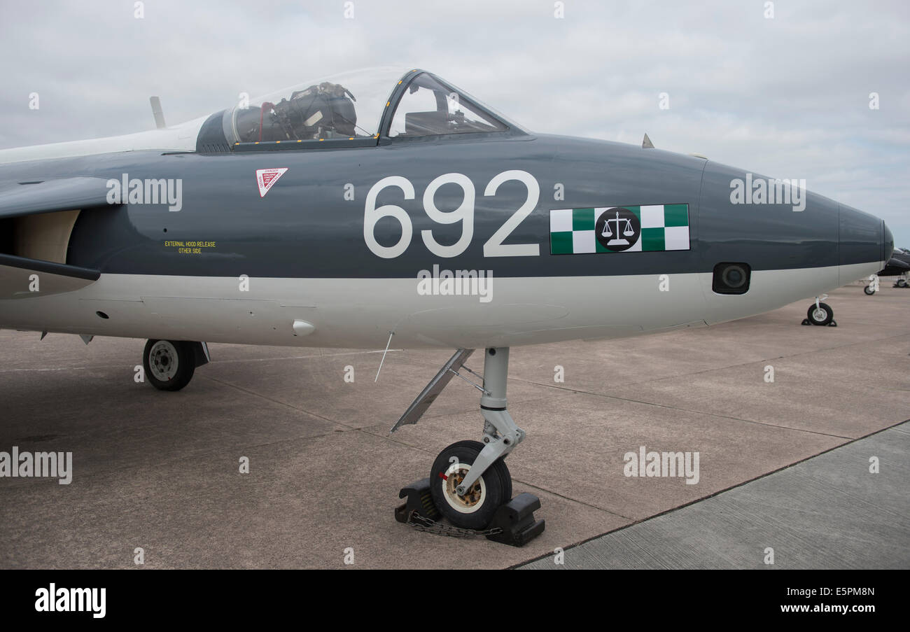 Hunter aeromobile in 764 Naval Air Squadron di colori a RNAS Culdrose aria giorno Foto Stock