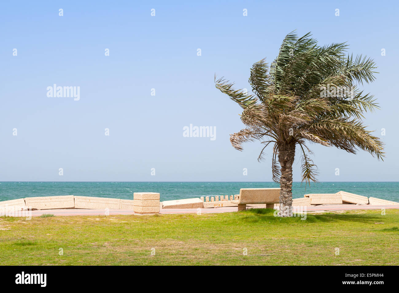 Palm e panca sulla costa del Golfo Persico, Arabia Saudita Foto Stock