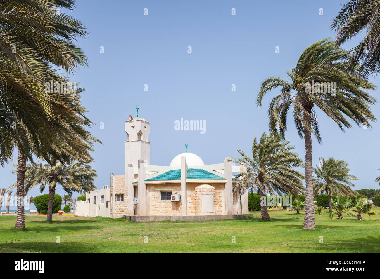 Moschea moderna e le palme in Rahima, Arabia Saudita Foto Stock