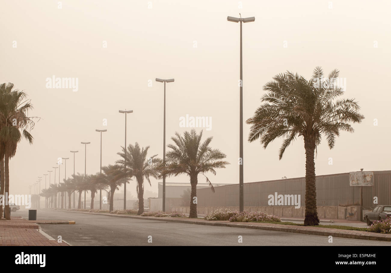 Tempesta di polvere sulla street view di palme, Arabia Saudita Foto Stock