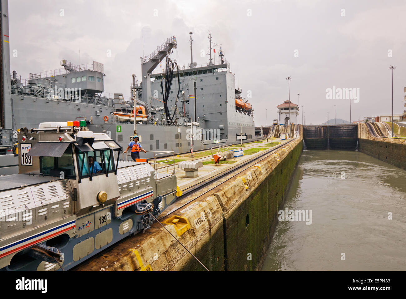 Mulo da vicino il traino di nave da crociera lungo Pedro Miguel canal, Panama Canal Foto Stock