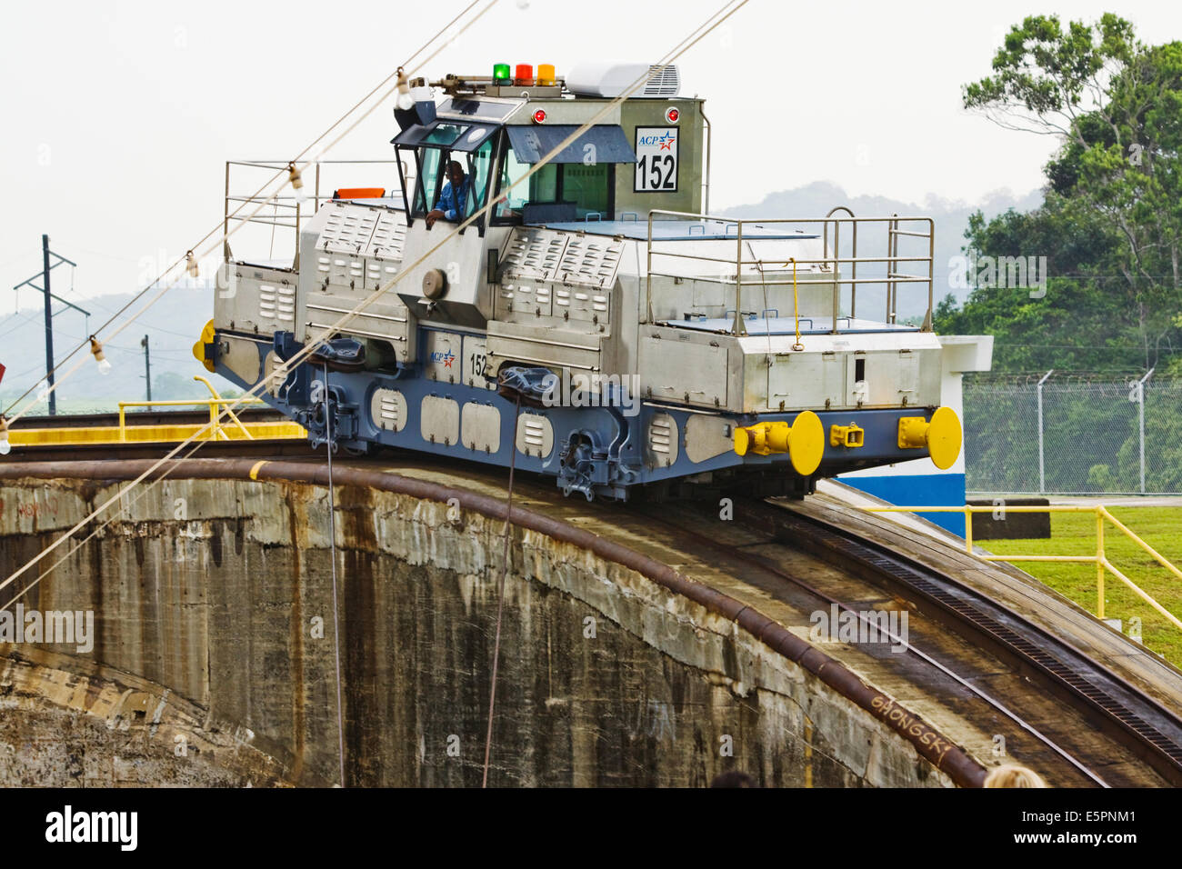 Mulo da vicino il traino di una nave da crociera lungo la serratura, Panama Canal Foto Stock