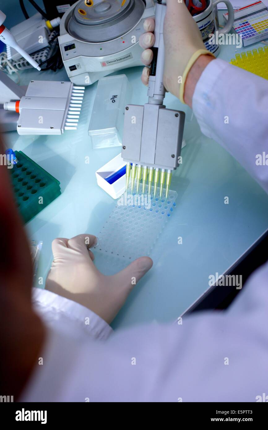 Presso l'Istituto di biologia di Lille, Francia, l'UMR 8090 unità del Centro nazionale francese per la ricerca scientifica (Centro Foto Stock