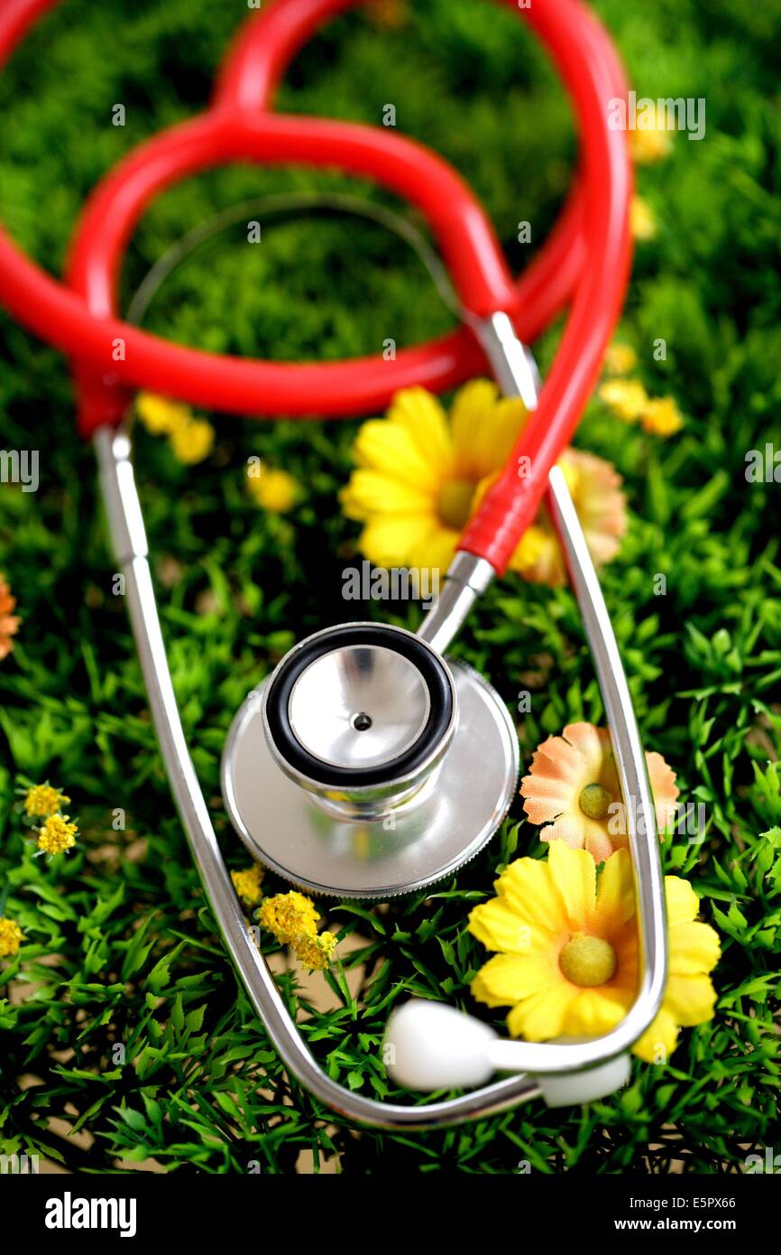 Uno stetoscopio sull'erba. Foto Stock