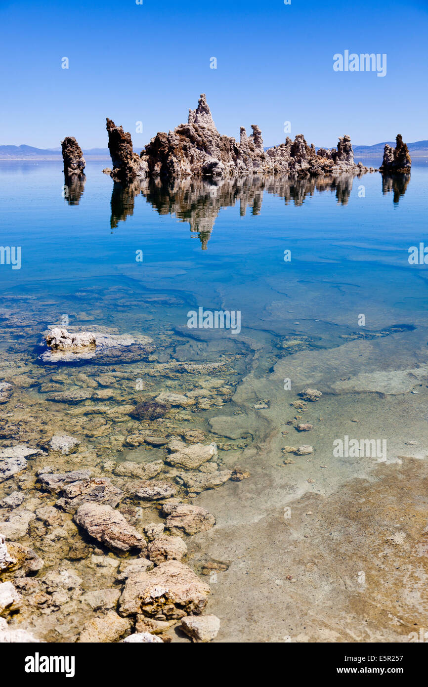 Lago mono in California, Stati Uniti d'America; è un sale di arsenico e di alto livello; campioni di sedimenti hanno rivelato un ceppo di batteri GFAJ-1 Foto Stock