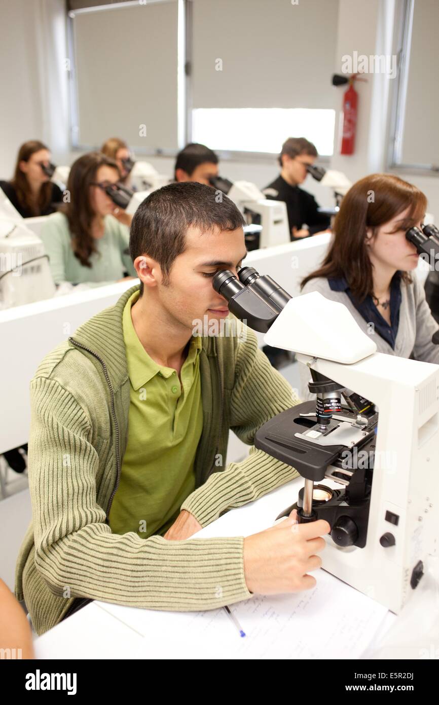 Gli studenti di medicina; biologico e tutorial istologici; Facoltà di Medicina di Limoges, Francia. Foto Stock