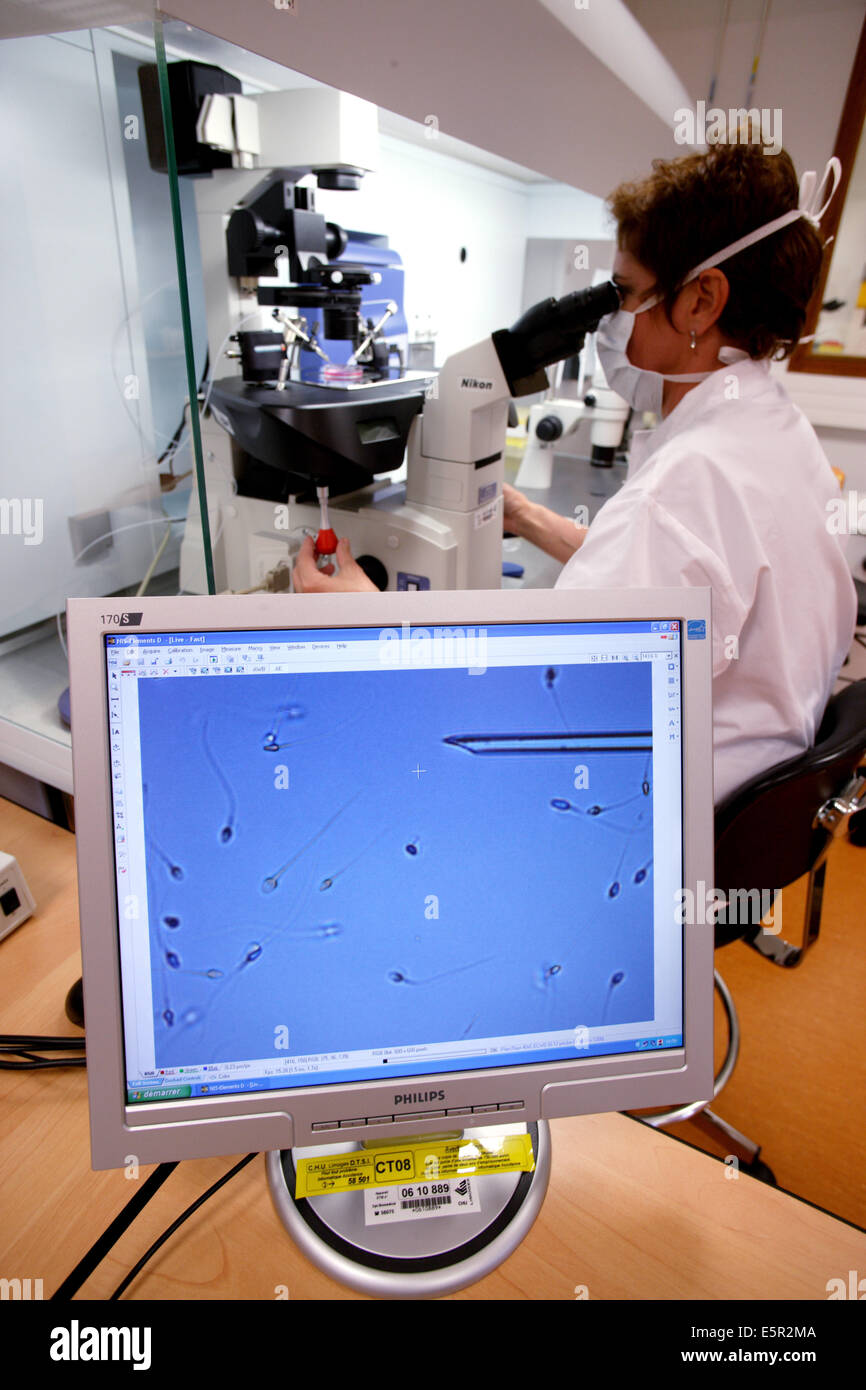 Tecnico utilizzando un microscopio luminoso per iniettare sperma umano in un essere umano cellula uovo (Ovum) durante la fertilizzazione in vitro (IVF) Questo Foto Stock