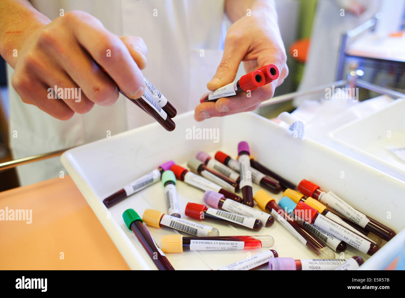 I campioni di sangue da persone obese per essere analizzati, Dipartimento di Nutrizione del Pr Basdevant, Unità di Endocrinologia, Foto Stock