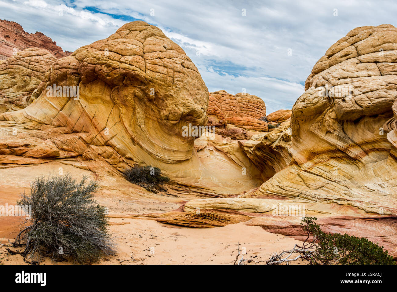 In Arizona. Incredibili formazioni rocciose nel deserto roccioso, Paria Canyon Vermillion Cliffs Wilderness Foto Stock