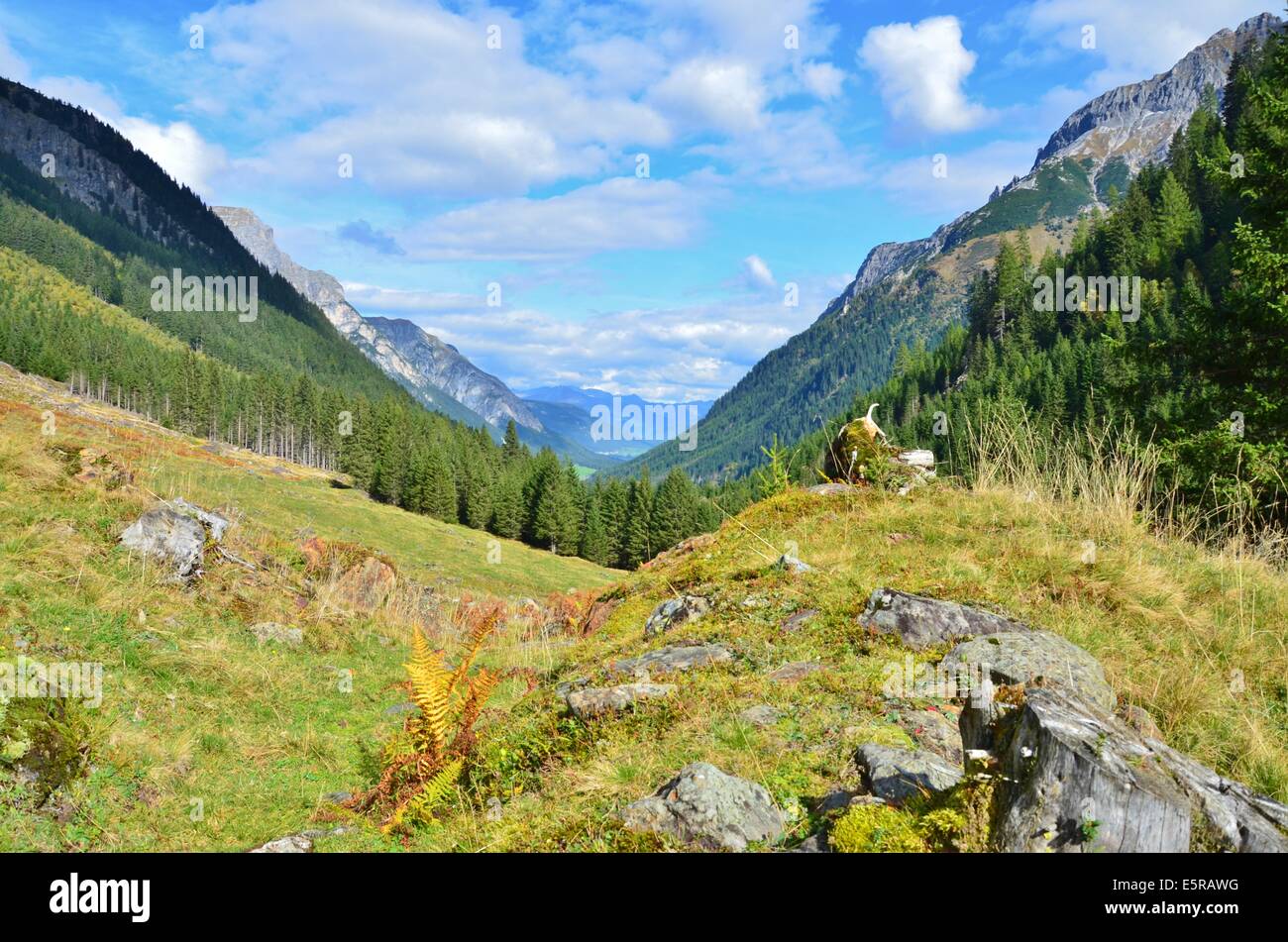 Valle di Gschnitz in autmn Foto Stock