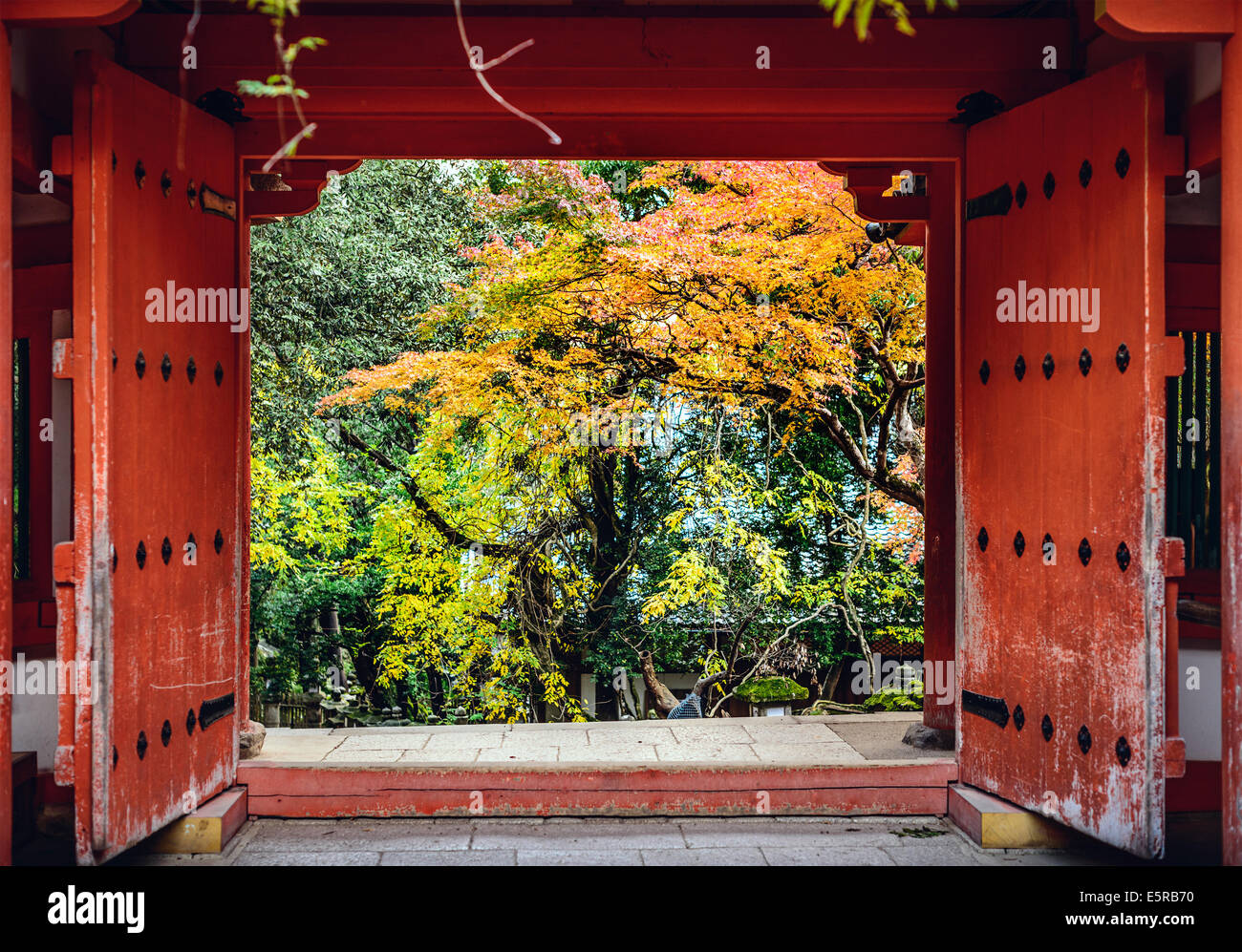 Nara, Giappone al Santuario Kasuga-Taisha con la caduta delle foglie. Foto Stock