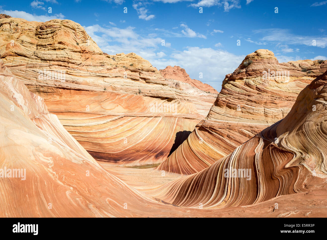 L'Onda, Arizona. Incredibile che scorre rock formazione nel deserto roccioso, Paria Canyon Vermillion Cliffs Wilderness Foto Stock
