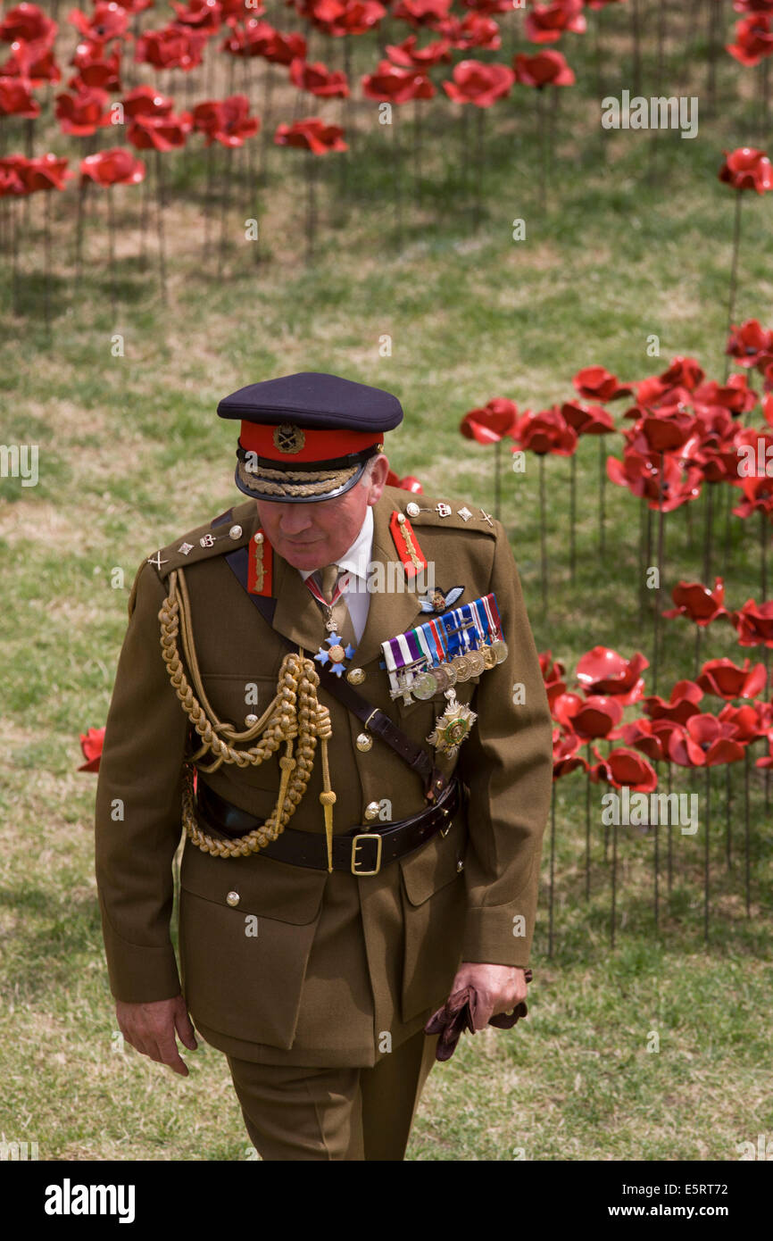 Londra, UK 5 agosto 2014: segna il centenario dell inizio della prima guerra mondiale (WW1) nel 1914, il generale il Signore Dannatt si erge tra alcuni dei papaveri in ceramica creato dall'artista Paolo Cummins. Rimanendo in posizione fino a quando la data dell'armistizio del novembre 11th. In tutto il mondo, ricordo cerimonie per questo conflitto storico che hanno interessato il mondo delle nazioni. Generale Francis Richard Dannatt, Baron Dannatt, GCB, CBE, MC, DL (nato nel 1950) è un pensionato ufficiale dell'esercito britannico e l'operatore storico Conestabile della Torre di Londra. Credito: Richard Baker / Alamy Live News. Foto Stock