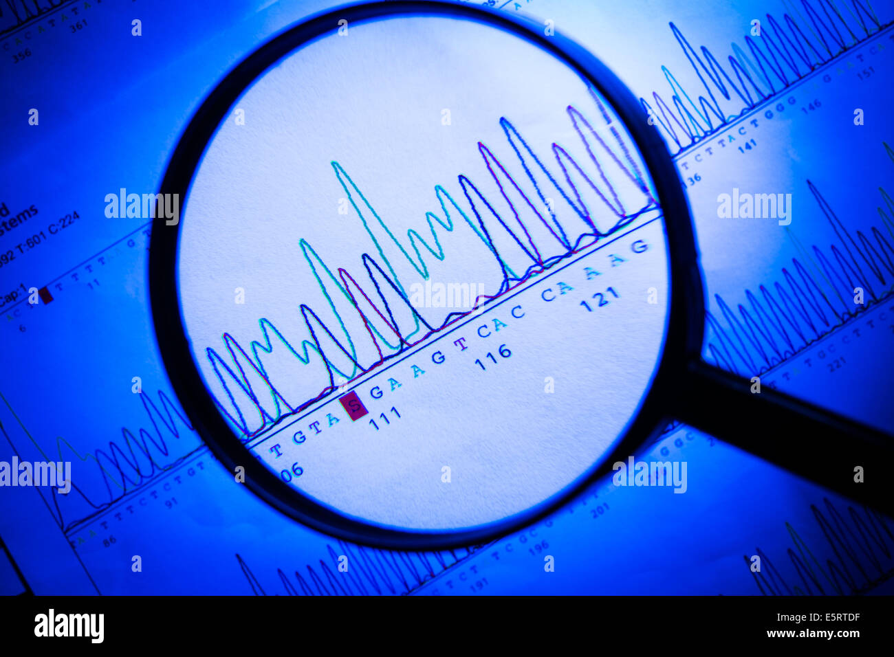 Lente di ingrandimento su grafici che mostrano i risultati del DNA (acido desossiribonucleico) sequenziamento. Foto Stock