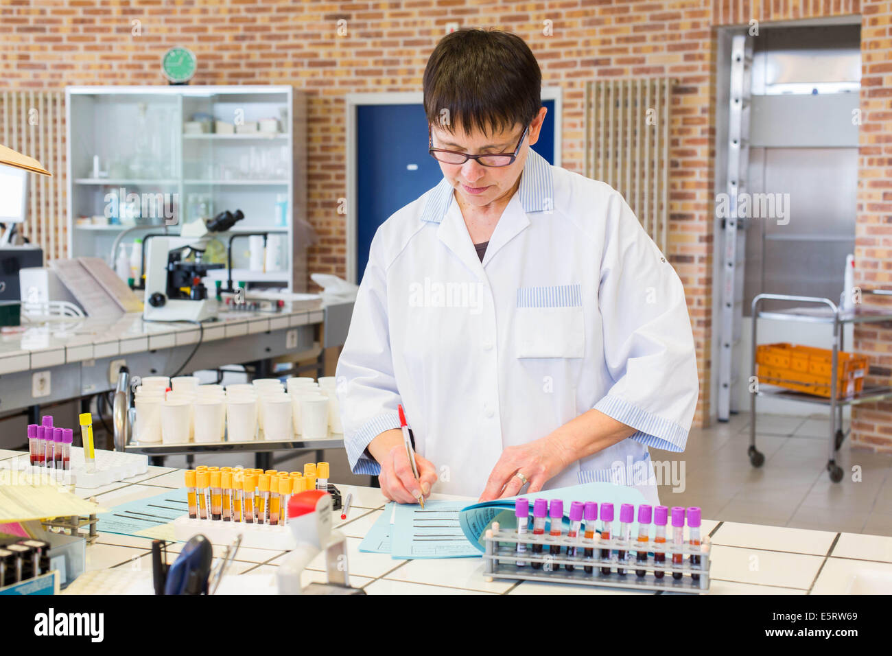 Campioni di sangue. Foto Stock