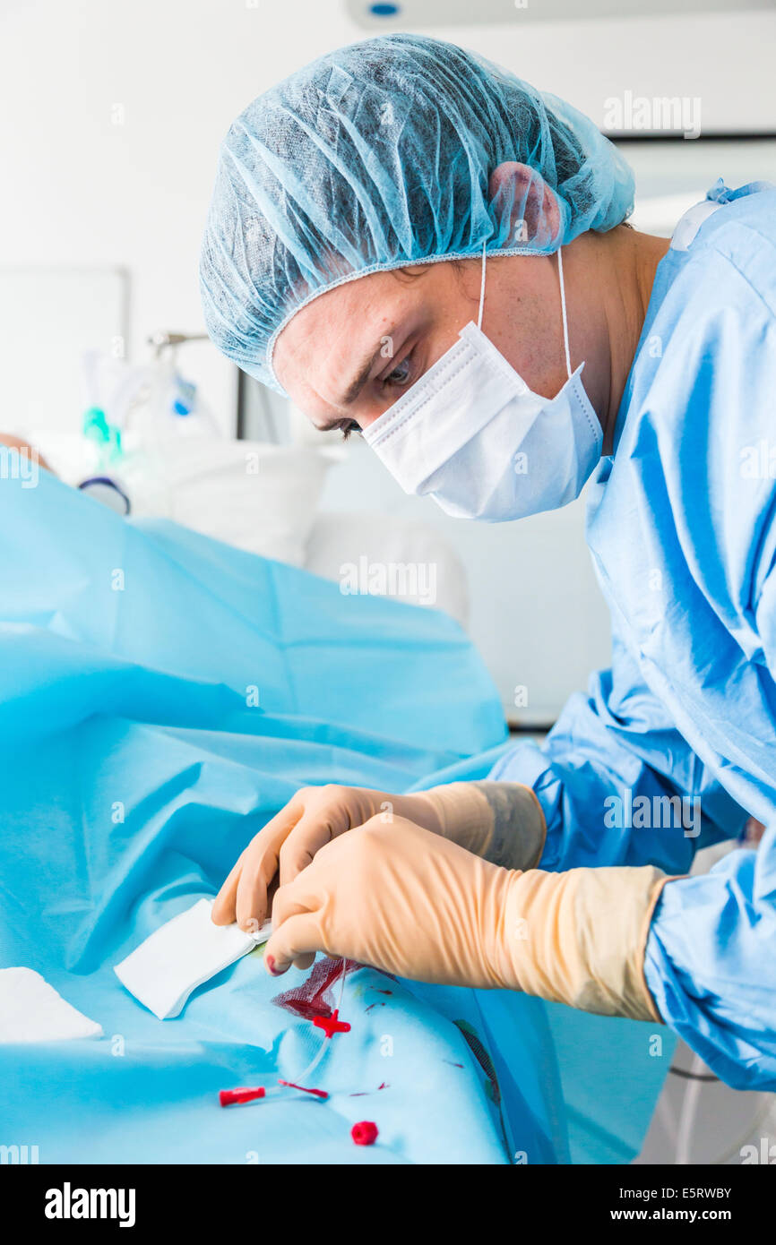 Impostazione di un catetere in arteria radiale, cura intensiva reparto, Lagny Marne-la-Vallée ospedale, Francia, Foto Stock