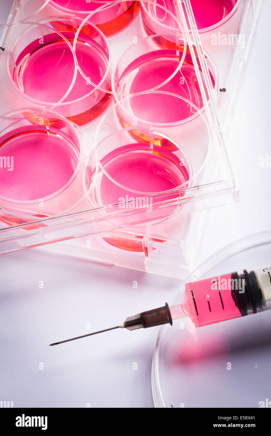 La ricerca sulle cellule staminali, siringa e campione multipozzetto vassoio. Foto Stock