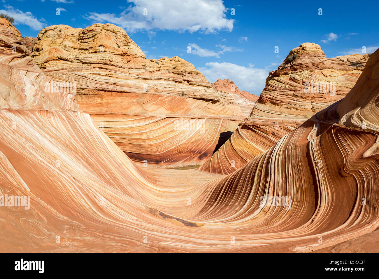 L'Onda, Arizona. Incredibile che scorre rock formazione nel deserto roccioso, Paria Canyon Vermillion Cliffs Wilderness Foto Stock