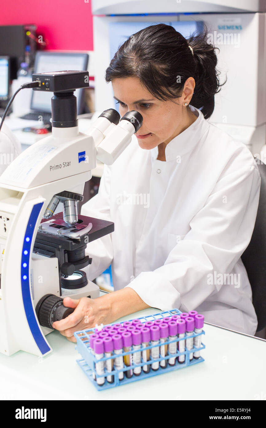 Tecnico femminile utilizzando un microscopio a luce per lo studio di striscio di sangue in un laboratorio di analisi mediche Foto Stock