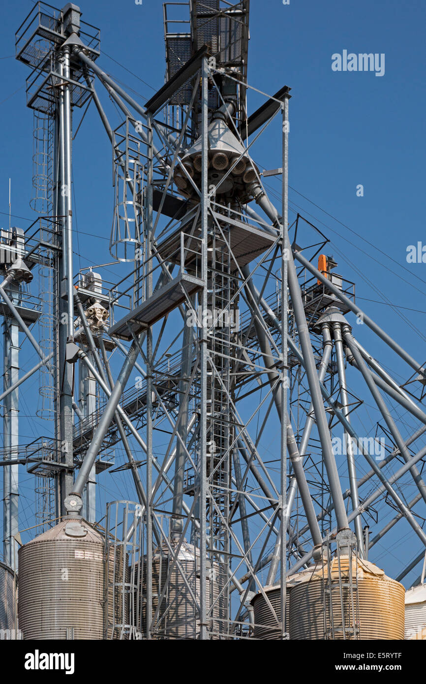 Bucyrus, Ohio - un elevatore del grano azionato da Hord bestiame. Foto Stock