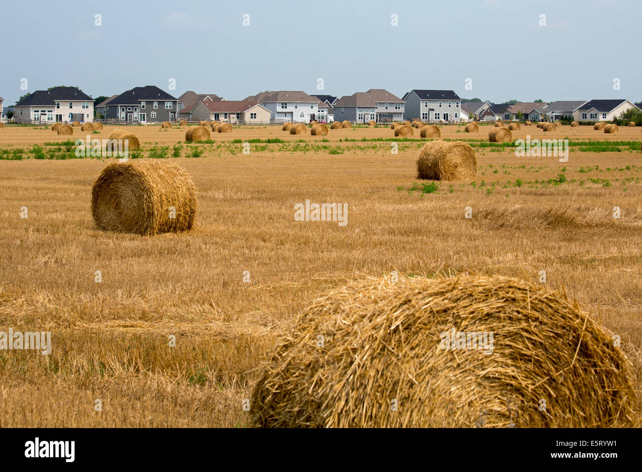 Perrysburg, Ohio - un nuovo sviluppo suburbano invade terreni agricoli vicino a Toledo. Foto Stock