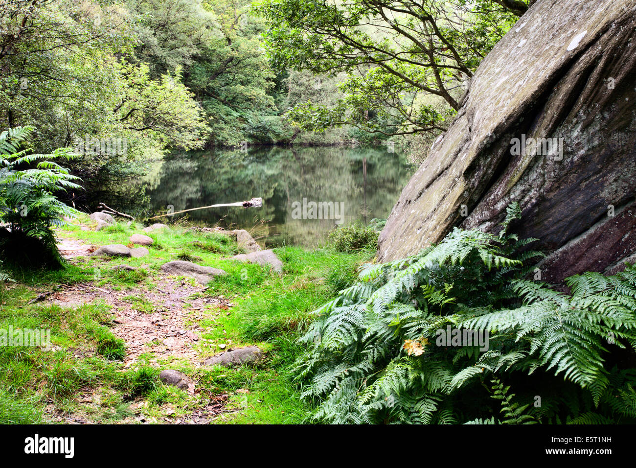 Guisecliff Tarn in estate ponte Pateley North Yorkshire, Inghilterra Foto Stock