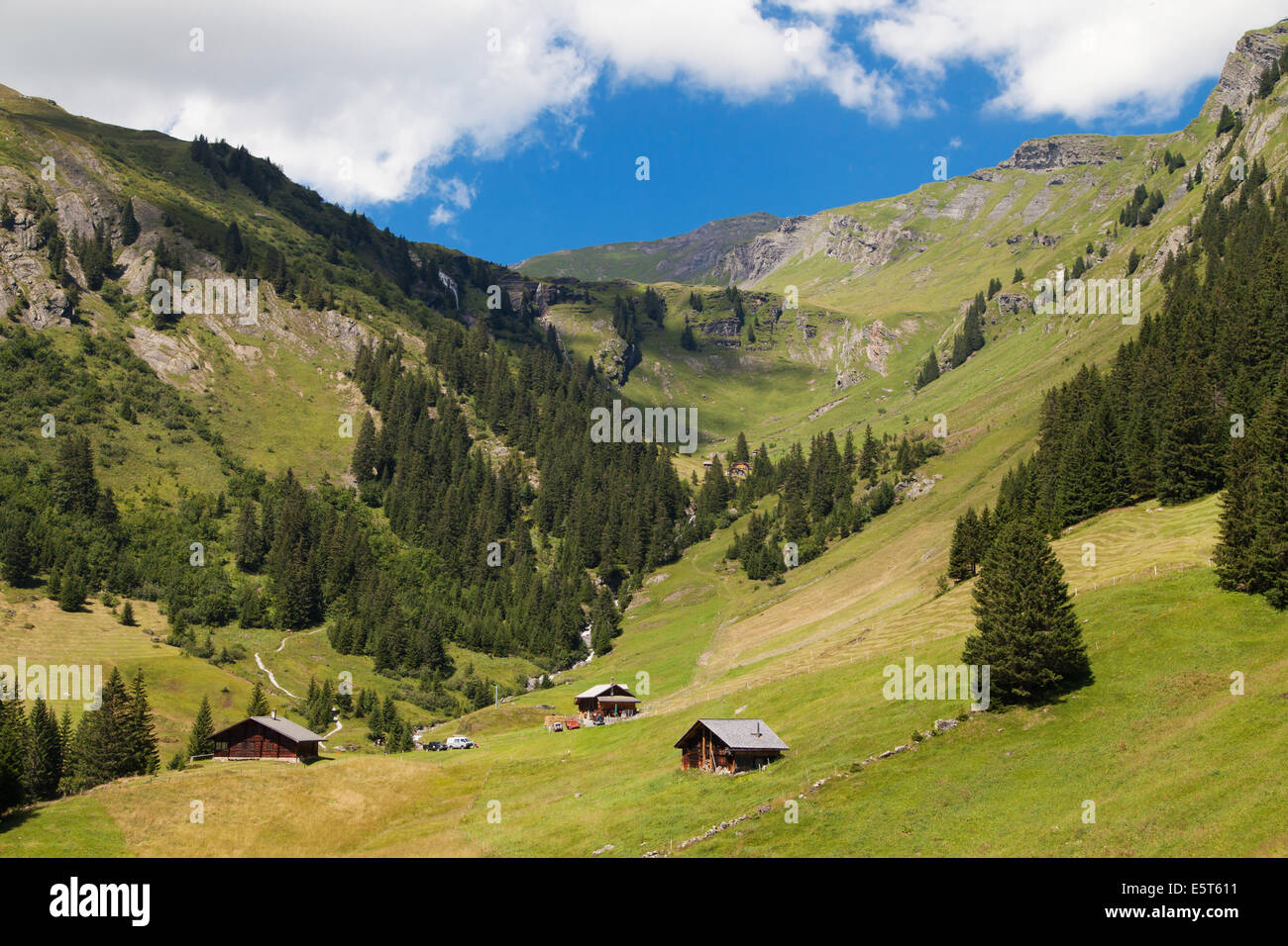 Valle alpina a Grindelwald, Oberland bernese, Svizzera. Foto Stock