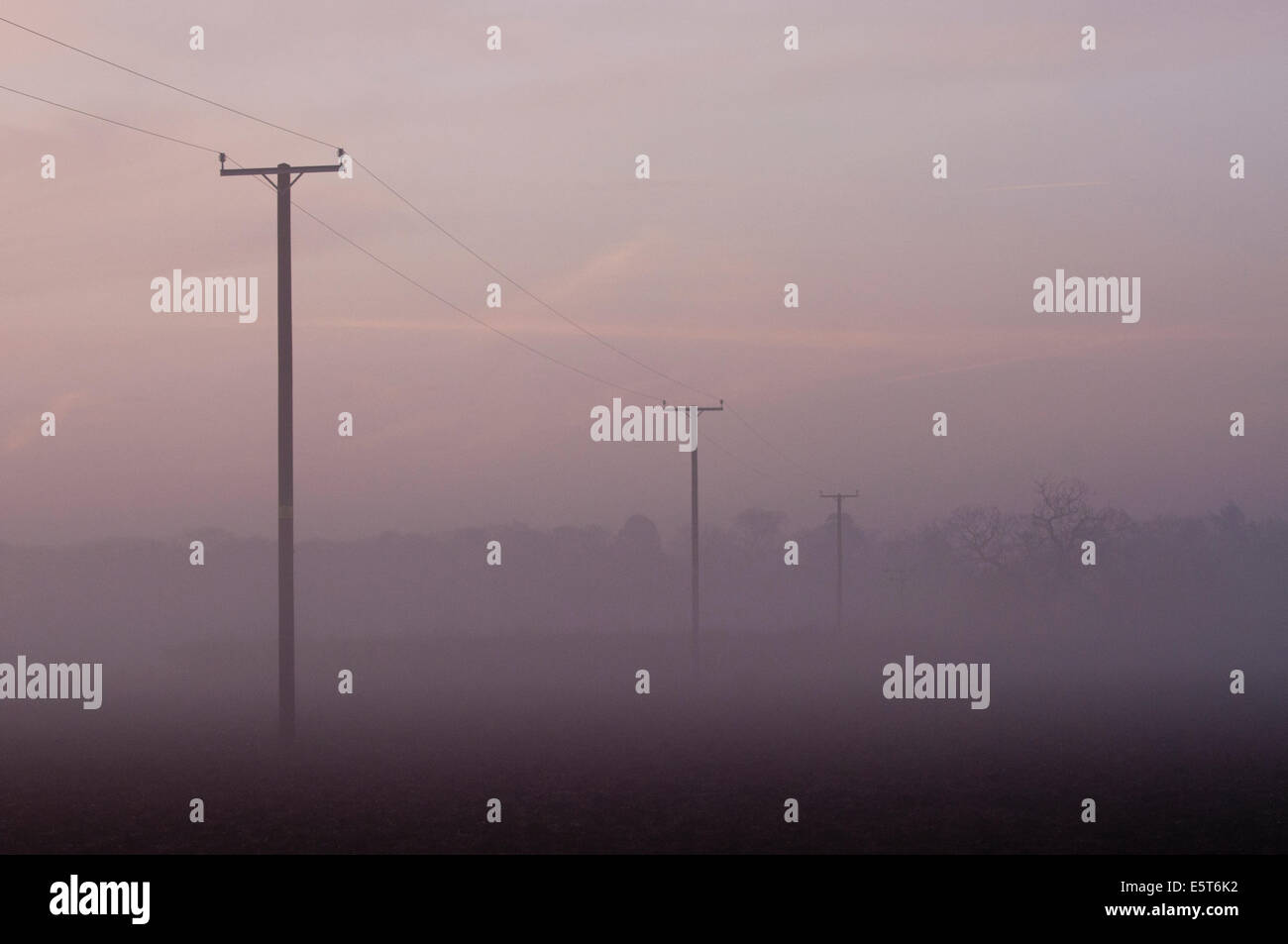 Le linee di alimentazione in pre dawn mist Foto Stock