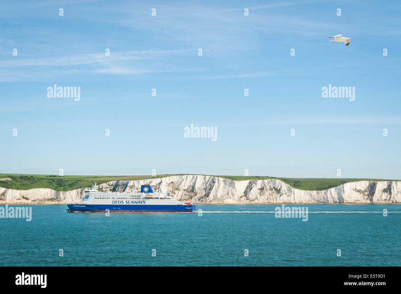 DFDS Seaways traghetto al Porto di Dover dopo aver attraversato il canale in inglese, Le Bianche Scogliere di Dover in background Foto Stock