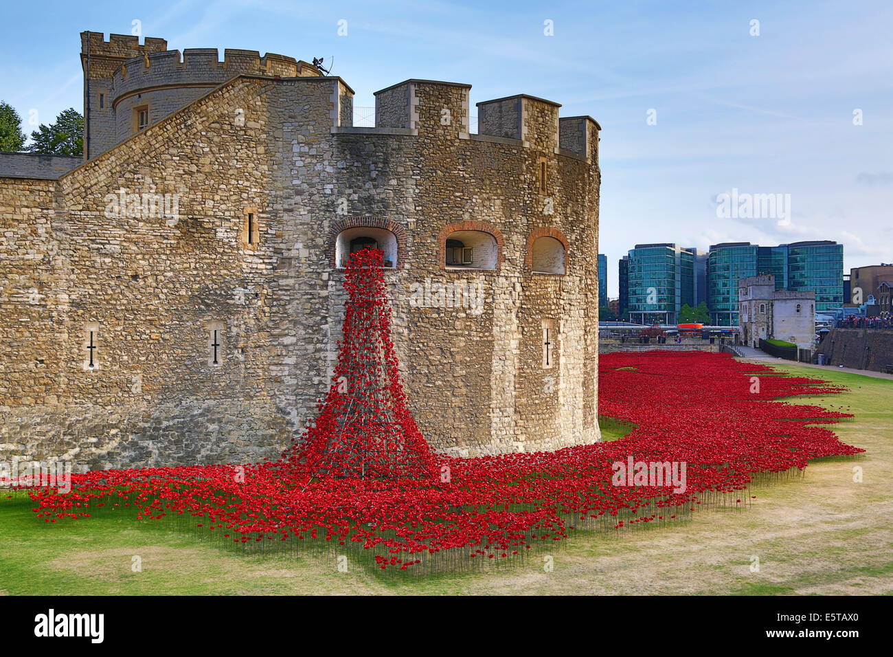 Londra, Regno Unito. 5 agosto 2014. Il mare di papaveri intorno alla Torre di Londra presso l'apertura del sangue spazzata di terre e mari di Red artwork da Paolo Cummins. 888,246 papaveri in ceramica, ciascuno il papavero rappresenta un britannico o coloniale fatalità militare durante la guerra, andrà a riempire il fossato da novembre 11th. Per l'apertura, battlefield immagini proiettate nella torre centrale mentre Tim Pigott-Smith leggere i nomi dei caduti durante una pistola 21 salute. La serata si è conclusa con la riproduzione dell'ultimo post. Credito: Paul Brown/Alamy Live News Foto Stock