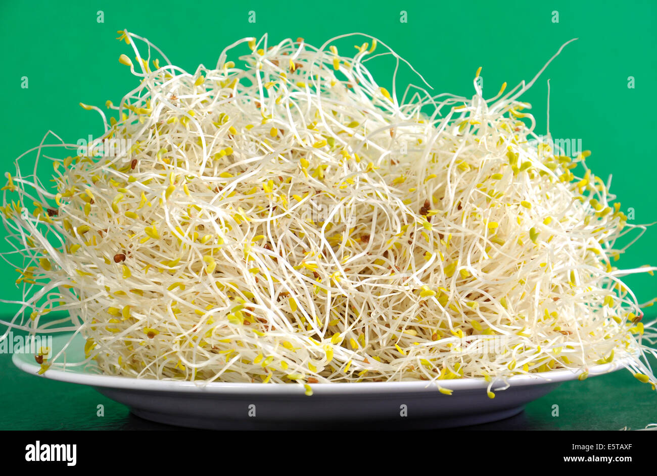 Dieta sana della salute alimentare erba medica e broccoletti su piastra bianca contro uno sfondo verde. Foto Stock