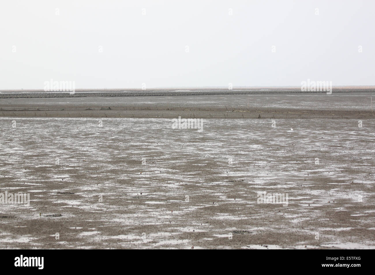 Massa sul lungomare di momenti di acqua ridotta. Foto Stock