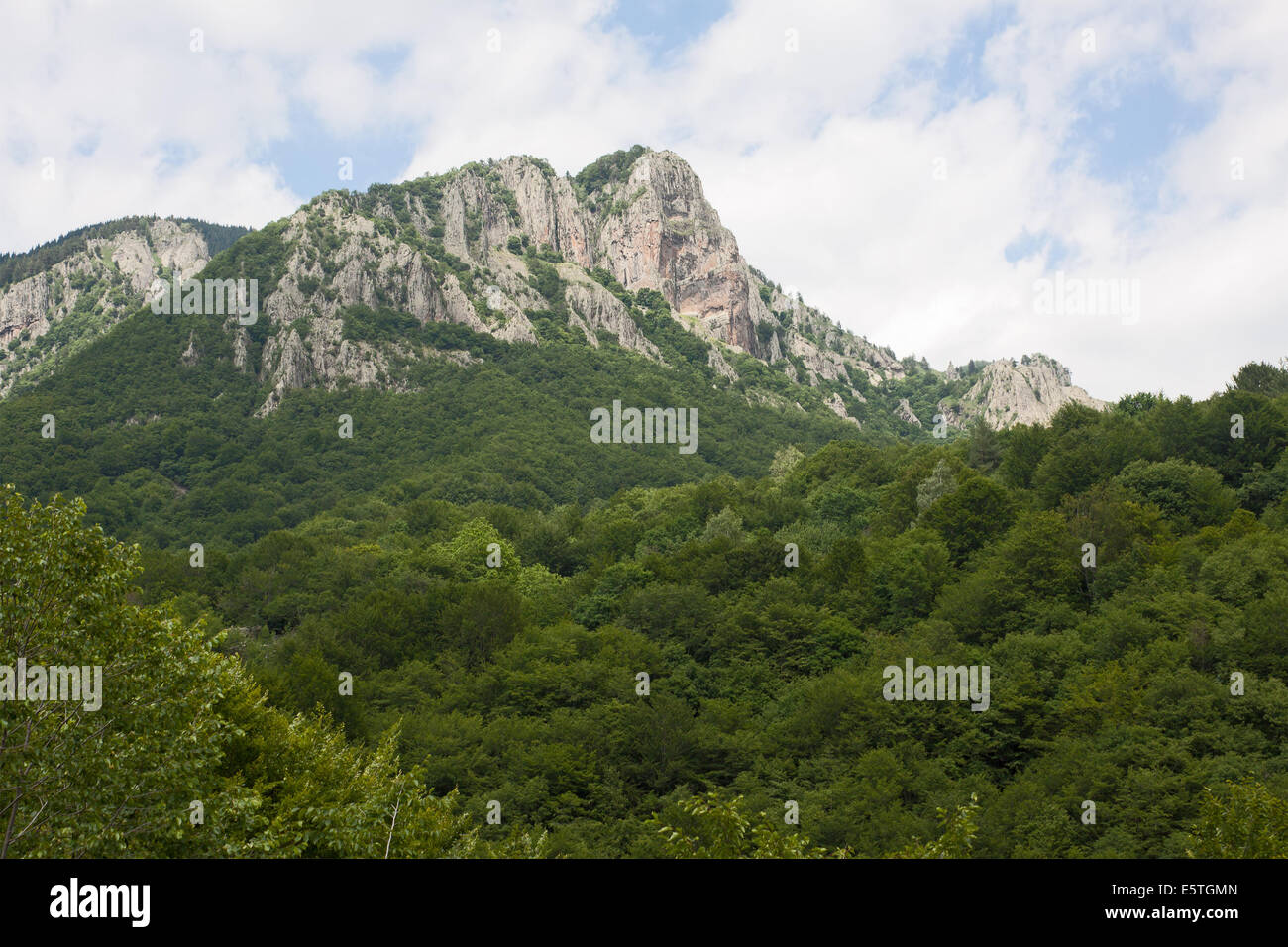 Picchi di montagna nella fitta boscaglia-boscosa del parco nazionale di Frakto nella Grecia settentrionale Foto Stock