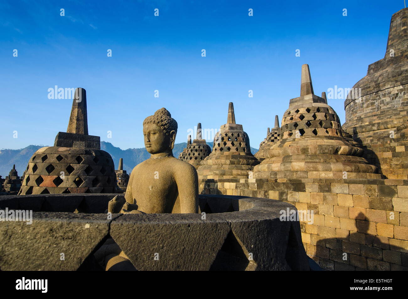 La mattina presto luce al complesso del tempio di Borobodur, Sito Patrimonio Mondiale dell'UNESCO, Java, Indonesia, Asia sud-orientale, Asia Foto Stock