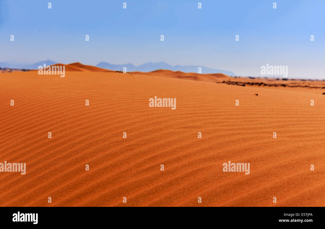 Sabbia rossa nel deserto Arabico Foto Stock