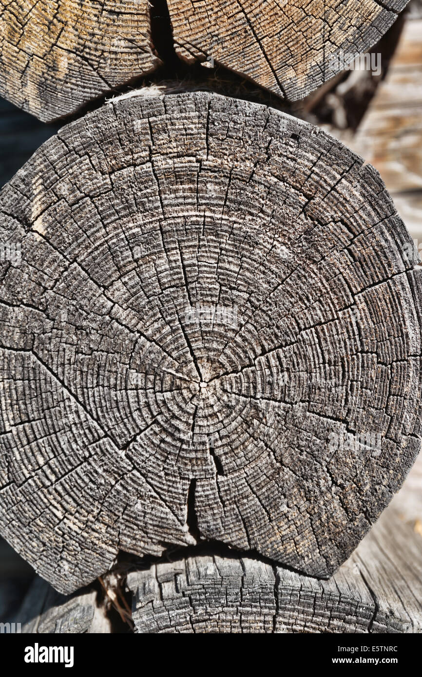 Vecchio taglio legno Foto Stock