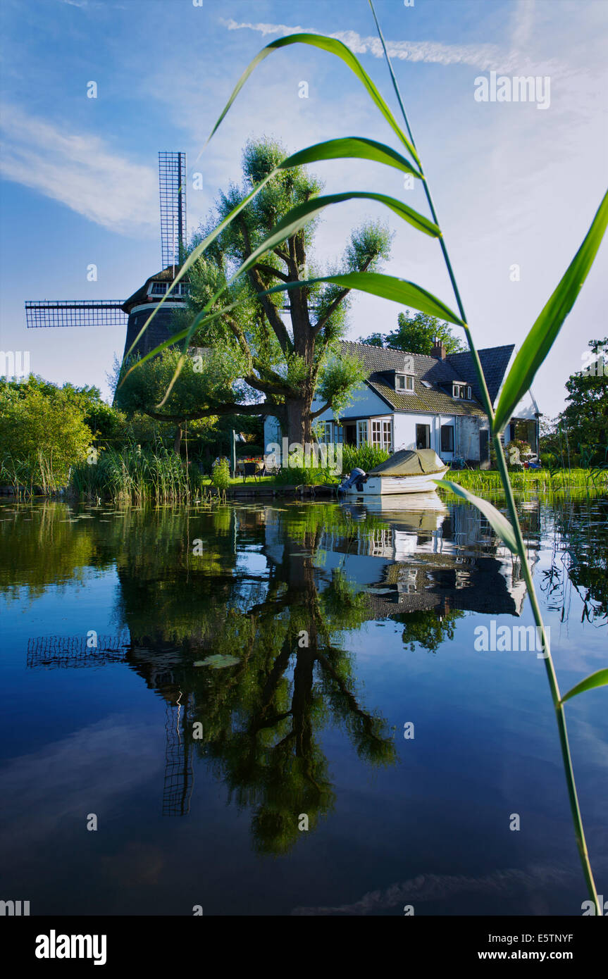Pittoresca casa con un mulino a vento a Spiegelplas o Mirror Lake in North Holland, Paesi Bassi Foto Stock