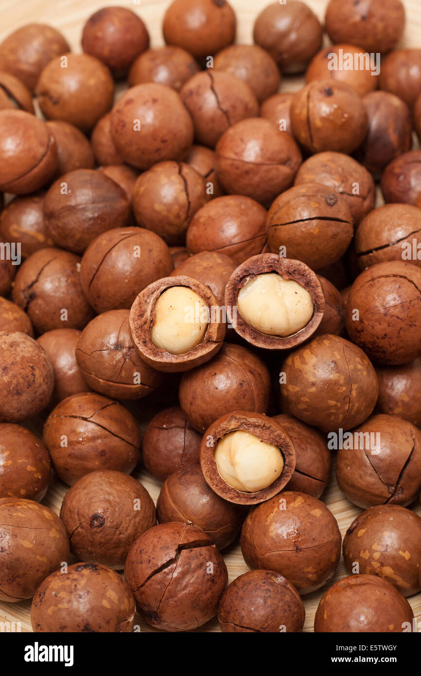 Sfondo di Macadamia Foto Stock