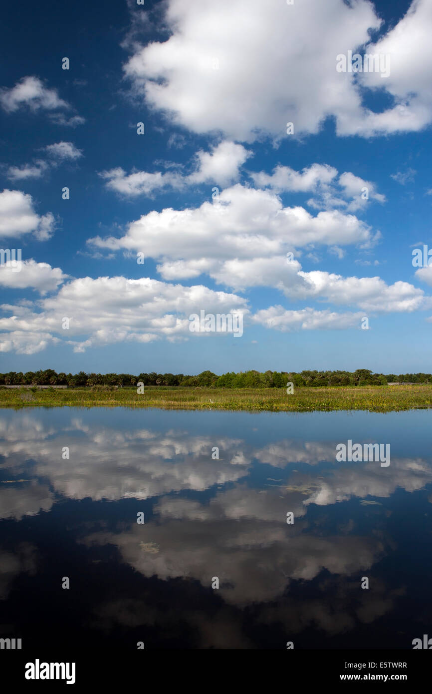 Il Cloud riflessioni a Green Cay zone umide - Boynton Beach, Florida USA Foto Stock