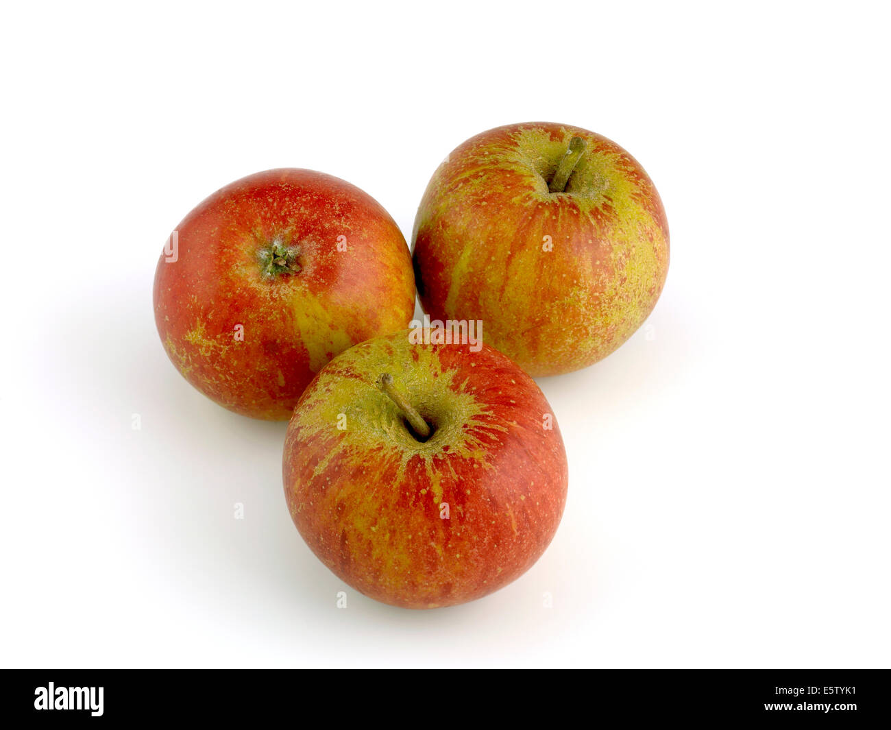 Inglese Cox Apple Foto Stock
