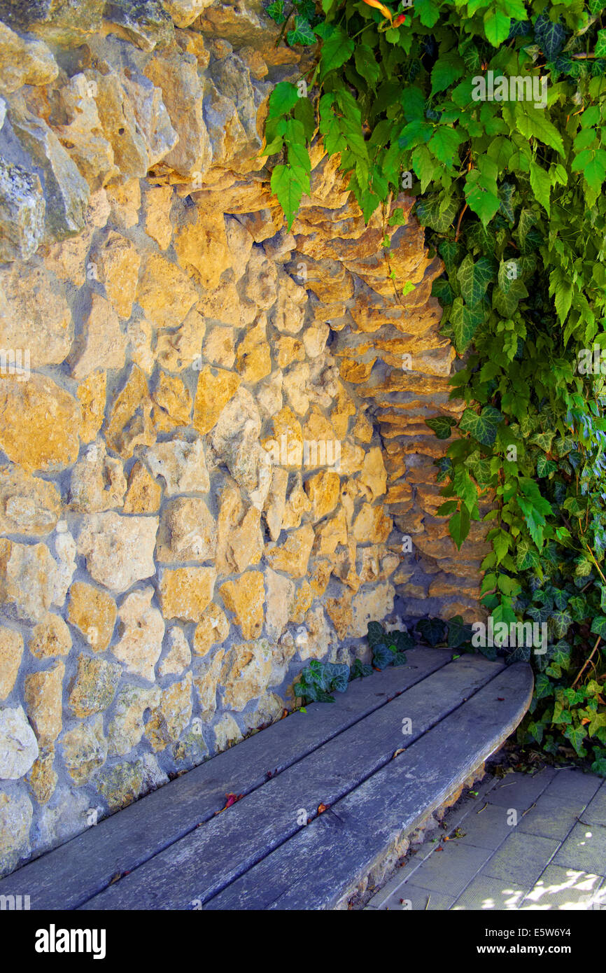 Bellezza uva selvatica parete come sfondo Foto Stock