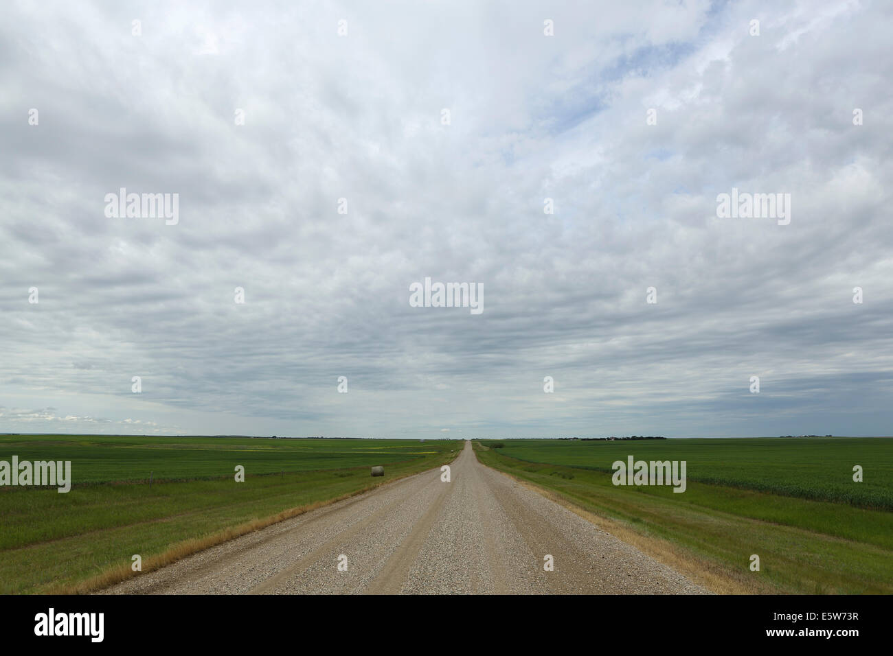 Un campo della prateria vicino a Kyle, Saskatchewan, Canada. Foto Stock