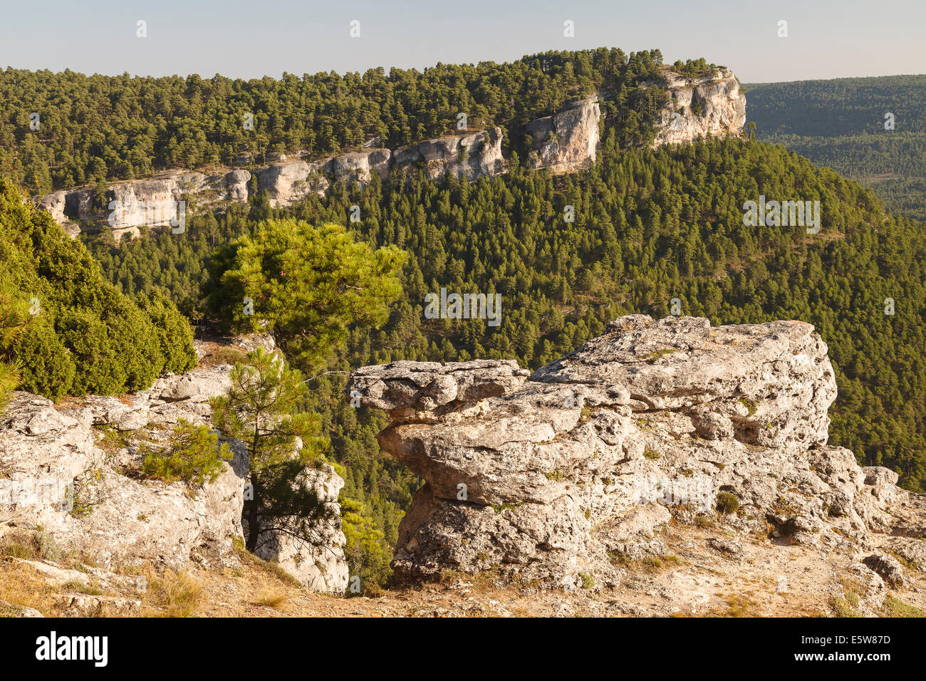 Las Majadas. Serrania de Cuenca. Parco naturale. Cuenca Provenza. Castilla La Mancha. Spagna Foto Stock