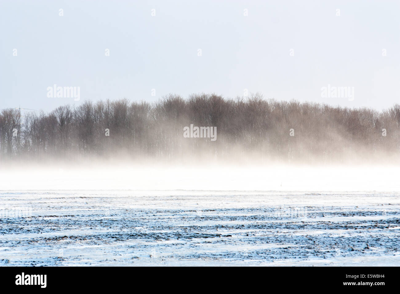 Lavori di soffiaggio della neve fruste attraverso il paesaggio di primavera come un crudele dello sciocco di aprile scherzo con una metà inverno sento & bitter wind chill Foto Stock